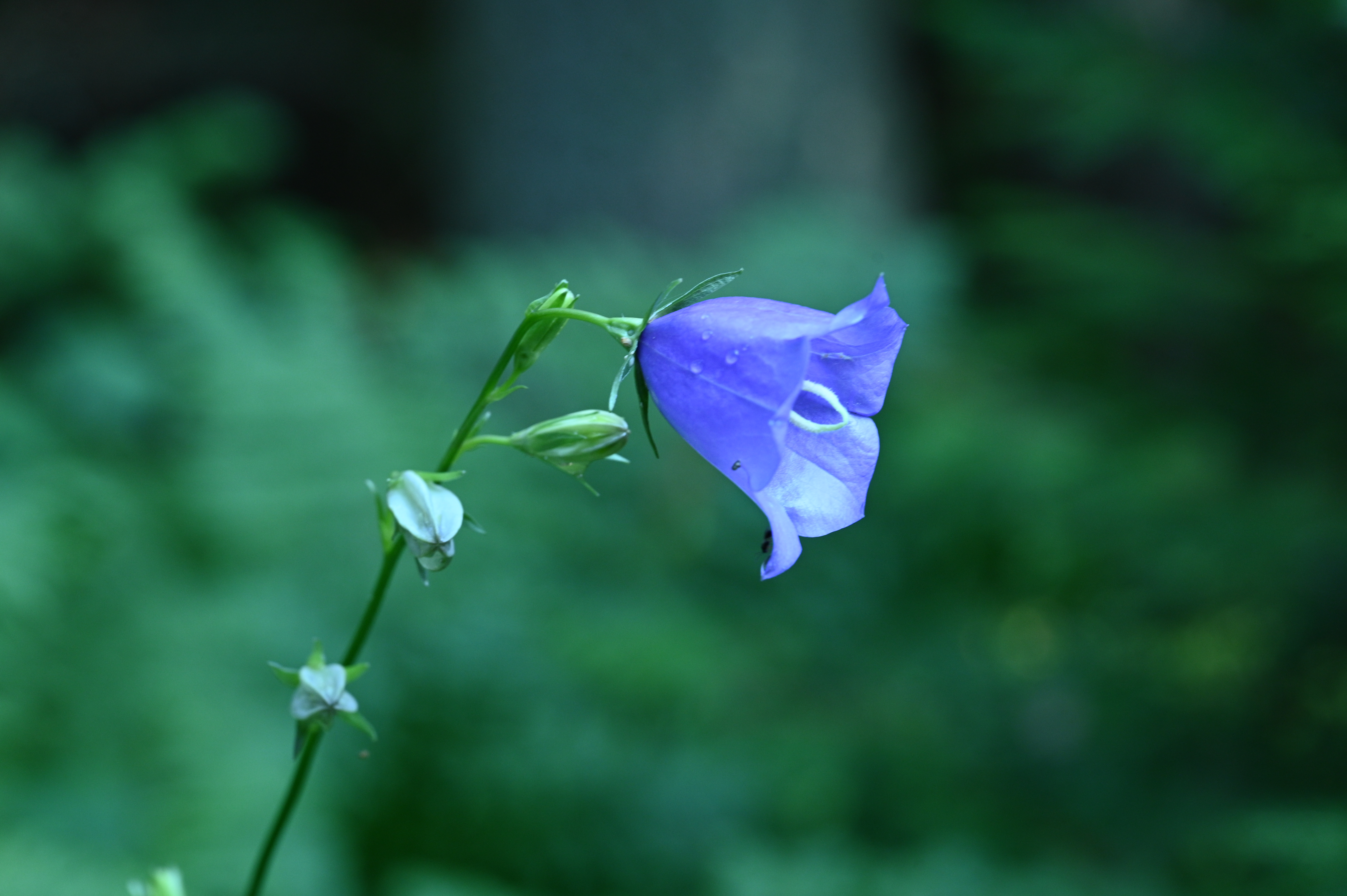 2025/07/09-14 - trip/DSC_0283.JPG